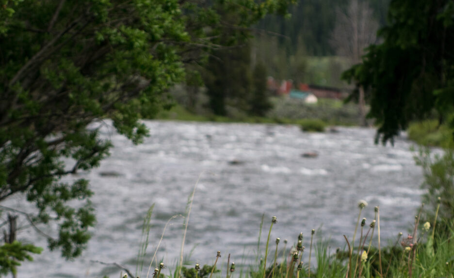 Water rushes through the Montana river. Another ecosystem dependent on water.